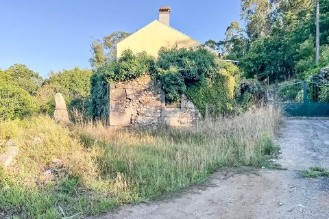 Helårsgrund i Barcelos, Braga, Barcelos - € 77.500 | Ref: 254260080 - foto 9