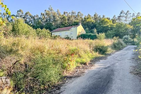 Helårsgrund i Barcelos, Braga, Barcelos - € 77.500 | Ref: 254260080 - foto 10