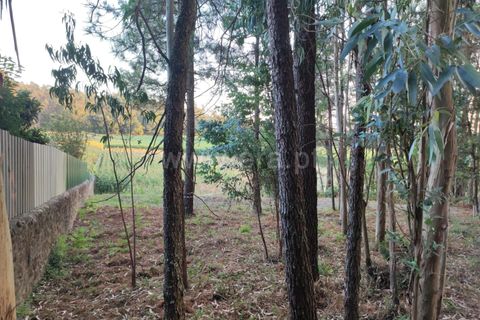 Helårsgrund i Barcelos, Braga, Barcelos - € 47.500 | Ref: 254260200 - foto 2