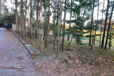 Helårsgrund i Barcelos, Braga, Barcelos - € 47.500 | Ref: 254260200 - foto 5