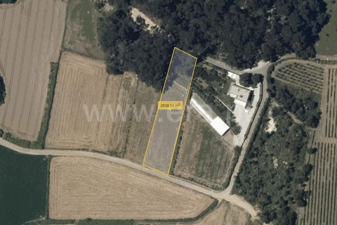 Helårsgrund i Barcelos, Braga, Barcelos - € 47.500 | Ref: 254260200 - foto 6