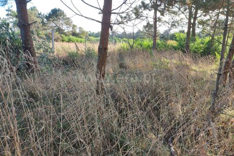 Helårsgrund i Esposende, Braga, Esposende - € 30.000 | Ref: 254260202 - foto 2