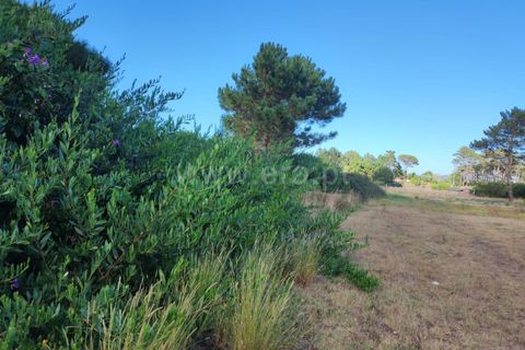 Helårsgrund i Esposende, Braga, Esposende - € 30.000 | Ref: 254260202 - foto 4