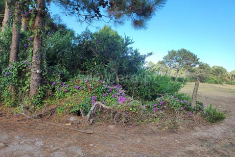 Helårsgrund i Esposende, Braga, Esposende - € 30.000 | Ref: 254260202 - foto 5
