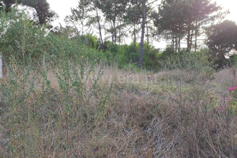 Helårsgrund i Esposende, Braga, Esposende - € 30.000 | Ref: 254260202 - foto 6