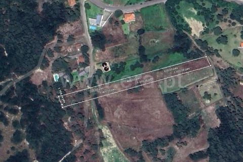 Helårsgrund i Esposende, Braga, Esposende - € 30.000 | Ref: 254260202 - foto 7