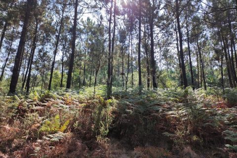 Helårsgrund i Esposende, Braga, Esposende - € 14.000 | Ref: 254260204 - foto 2