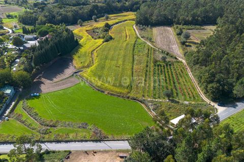 Helårsgrund i Barcelos, Braga, Barcelos - € 10.000 | Ref: 254260218 - foto 2