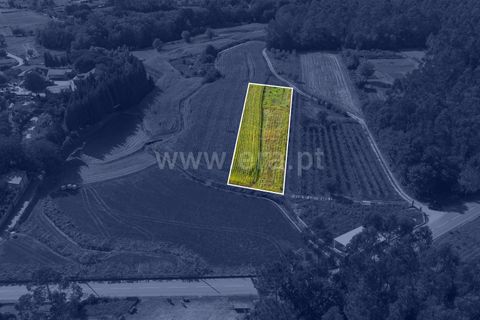 Helårsgrund i Barcelos, Braga, Barcelos - € 10.000 | Ref: 254260218 - foto 4