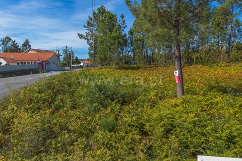 Helårsgrund i Barcelos, Braga, Barcelos - € 152.000 | Ref: 254260220 - foto 7