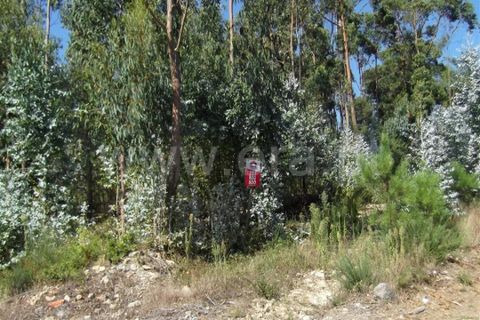 Helårsgrund i Barcelos, Braga, Barcelos - € 380.000 | Ref: 254260183 - foto 3