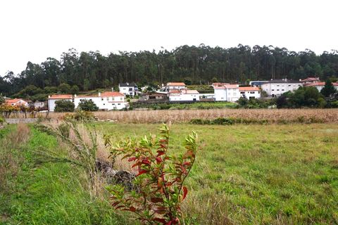 Helårsgrund i Barcelos, Braga, Barcelos - € 42.500 | Ref: 254260184 - foto 4