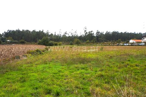 Helårsgrund i Barcelos, Braga, Barcelos - € 42.500 | Ref: 254260184 - foto 5