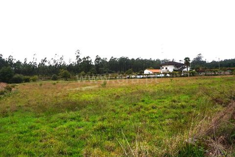 Helårsgrund i Barcelos, Braga, Barcelos - € 42.500 | Ref: 254260184 - foto 6
