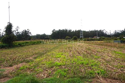 Helårsgrund i Barcelos, Braga, Barcelos - € 28.000 | Ref: 254260186 - foto 3