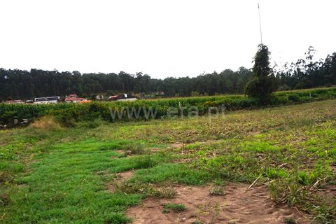 Helårsgrund i Barcelos, Braga, Barcelos - € 28.000 | Ref: 254260186 - foto 4