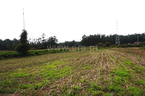 Helårsgrund i Barcelos, Braga, Barcelos - € 28.000 | Ref: 254260186 - foto 5