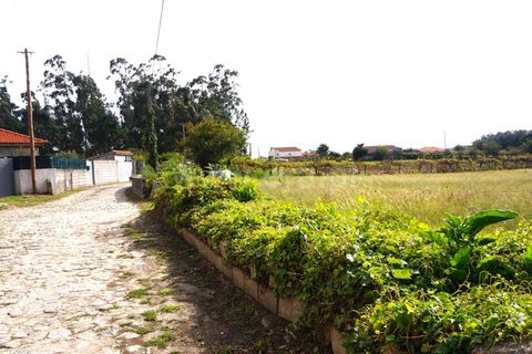 Helårsgrund i Barcelos, Braga, Barcelos - € 220.000 | Ref: 254260185 - foto 3