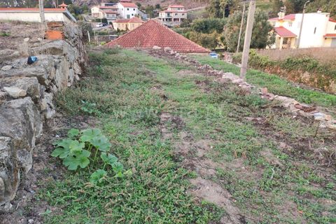 Byhus i Barcelos, Braga, Barcelos - € 87.500 | Ref: 254260221 - foto 7