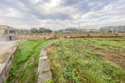 Helårsgrund i Barcelos, Braga, Barcelos - € 490.000 | Ref: 254260127 - foto 5