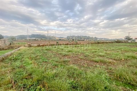 Helårsgrund i Barcelos, Braga, Barcelos - € 490.000 | Ref: 254260127 - foto 6