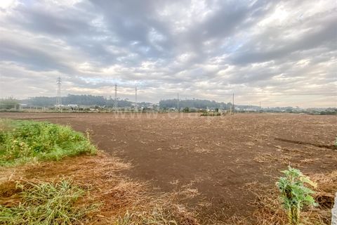 Helårsgrund i Barcelos, Braga, Barcelos - € 490.000 | Ref: 254260127 - foto 8