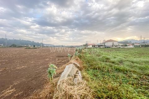 Helårsgrund i Barcelos, Braga, Barcelos - € 490.000 | Ref: 254260127 - foto 10
