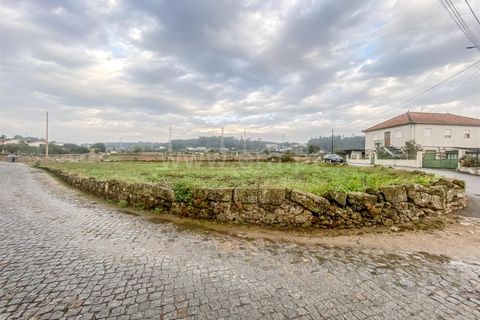 Helårsgrund i Barcelos, Braga, Barcelos - € 490.000 | Ref: 254260127 - foto 12