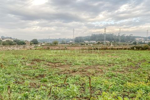 Helårsgrund i Barcelos, Braga, Barcelos - € 490.000 | Ref: 254260127 - foto 14