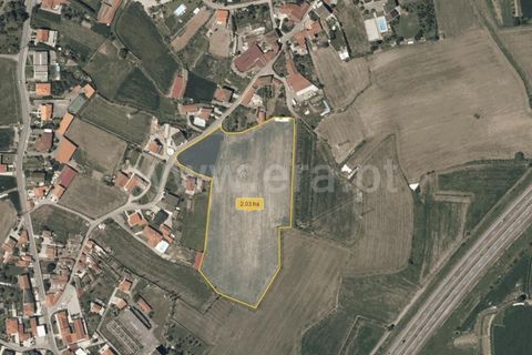 Helårsgrund i Barcelos, Braga, Barcelos - € 490.000 | Ref: 254260127 - foto 17