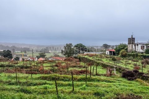 Helårsgrund i Esposende, Braga, Esposende - € 685.000 | Ref: 254260208 - foto 2
