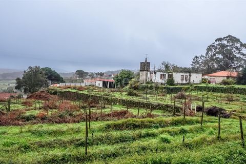 Helårsgrund i Esposende, Braga, Esposende - € 685.000 | Ref: 254260208 - foto 3