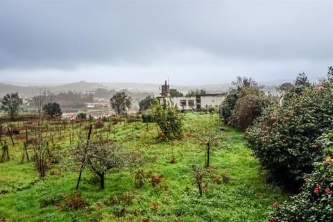 Helårsgrund i Esposende, Braga, Esposende - € 685.000 | Ref: 254260208 - foto 9