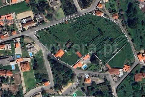 Helårsgrund i Esposende, Braga, Esposende - € 685.000 | Ref: 254260208 - foto 14