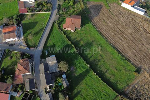 Helårsgrund i Barcelos, Braga, Barcelos - € 165.000 | Ref: 254260092 - foto 5