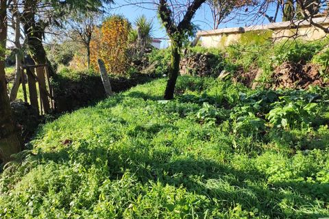 Helårsgrund i Barcelos, Braga, Barcelos - € 137.000 | Ref: 254260224 - foto 2