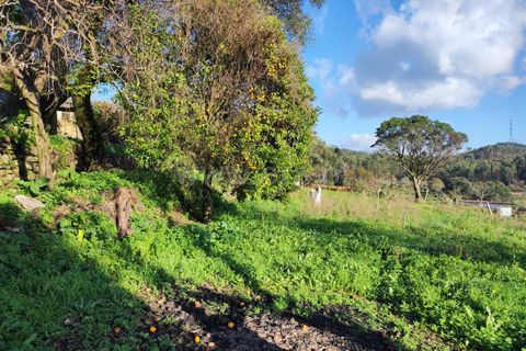 Helårsgrund i Barcelos, Braga, Barcelos - € 137.000 | Ref: 254260224 - foto 3