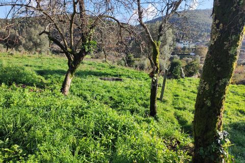 Helårsgrund i Barcelos, Braga, Barcelos - € 137.000 | Ref: 254260224 - foto 4