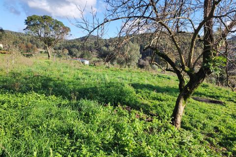 Helårsgrund i Barcelos, Braga, Barcelos - € 137.000 | Ref: 254260224 - foto 5