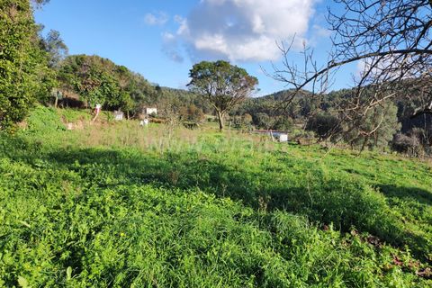 Helårsgrund i Barcelos, Braga, Barcelos - € 137.000 | Ref: 254260224 - foto 6