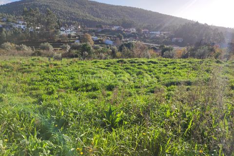 Helårsgrund i Barcelos, Braga, Barcelos - € 137.000 | Ref: 254260224 - foto 8