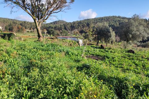 Helårsgrund i Barcelos, Braga, Barcelos - € 137.000 | Ref: 254260224 - foto 9