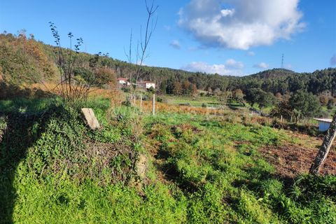 Helårsgrund i Barcelos, Braga, Barcelos - € 137.000 | Ref: 254260224 - foto 11