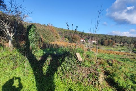 Helårsgrund i Barcelos, Braga, Barcelos - € 137.000 | Ref: 254260224 - foto 12