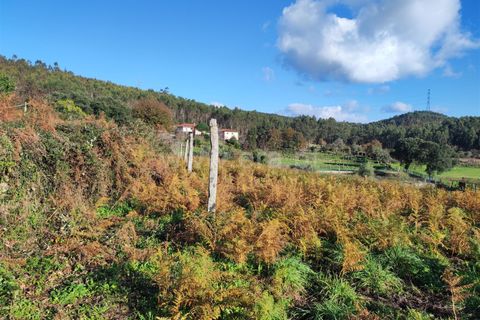 Helårsgrund i Barcelos, Braga, Barcelos - € 137.000 | Ref: 254260224 - foto 13