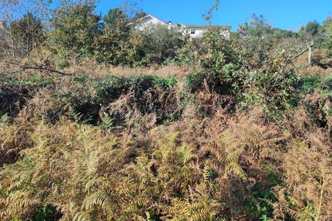 Helårsgrund i Barcelos, Braga, Barcelos - € 137.000 | Ref: 254260224 - foto 14