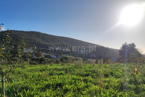 Helårsgrund i Barcelos, Braga, Barcelos - € 137.000 | Ref: 254260224 - foto 17
