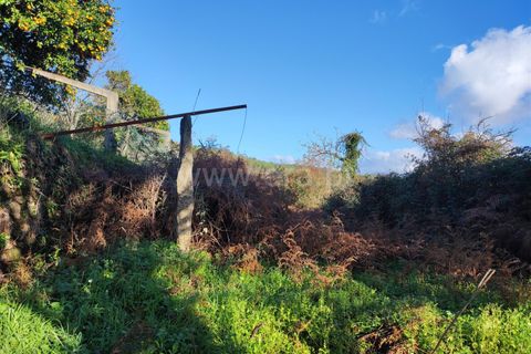 Helårsgrund i Barcelos, Braga, Barcelos - € 137.000 | Ref: 254260224 - foto 20