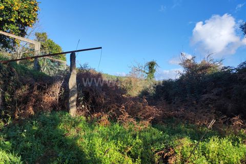 Helårsgrund i Barcelos, Braga, Barcelos - € 137.000 | Ref: 254260224 - foto 21