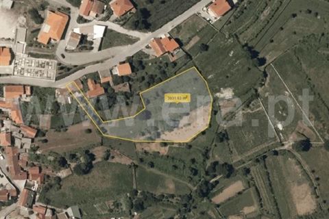 Helårsgrund i Barcelos, Braga, Barcelos - € 137.000 | Ref: 254260224 - foto 24